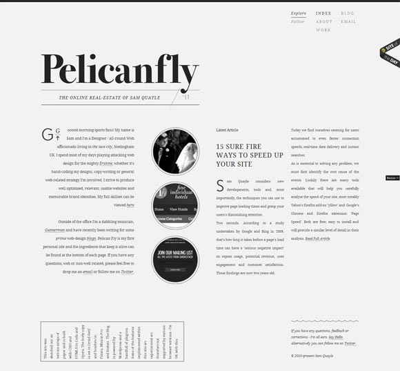 Pelicanfly